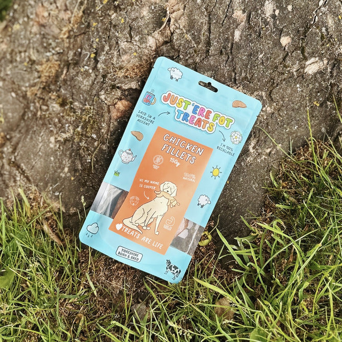 Front view of a packet/ pouch of 'Just'ere for treats' natural Chicken Fillets coins on a tree stumb base with grass in the foreground