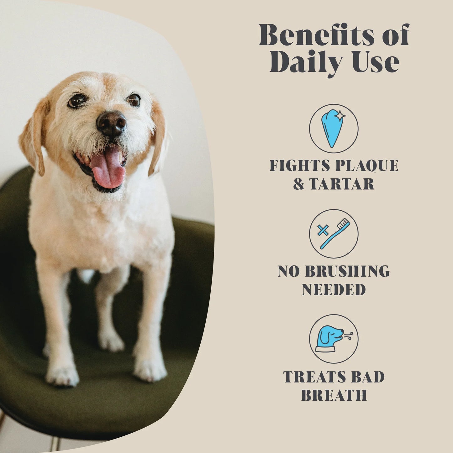 An image of a dog on the left hand side with the right side stating the benefits of the Plaque powder from fighting plaque & Tartar to help a dogs breath with no need for brushing