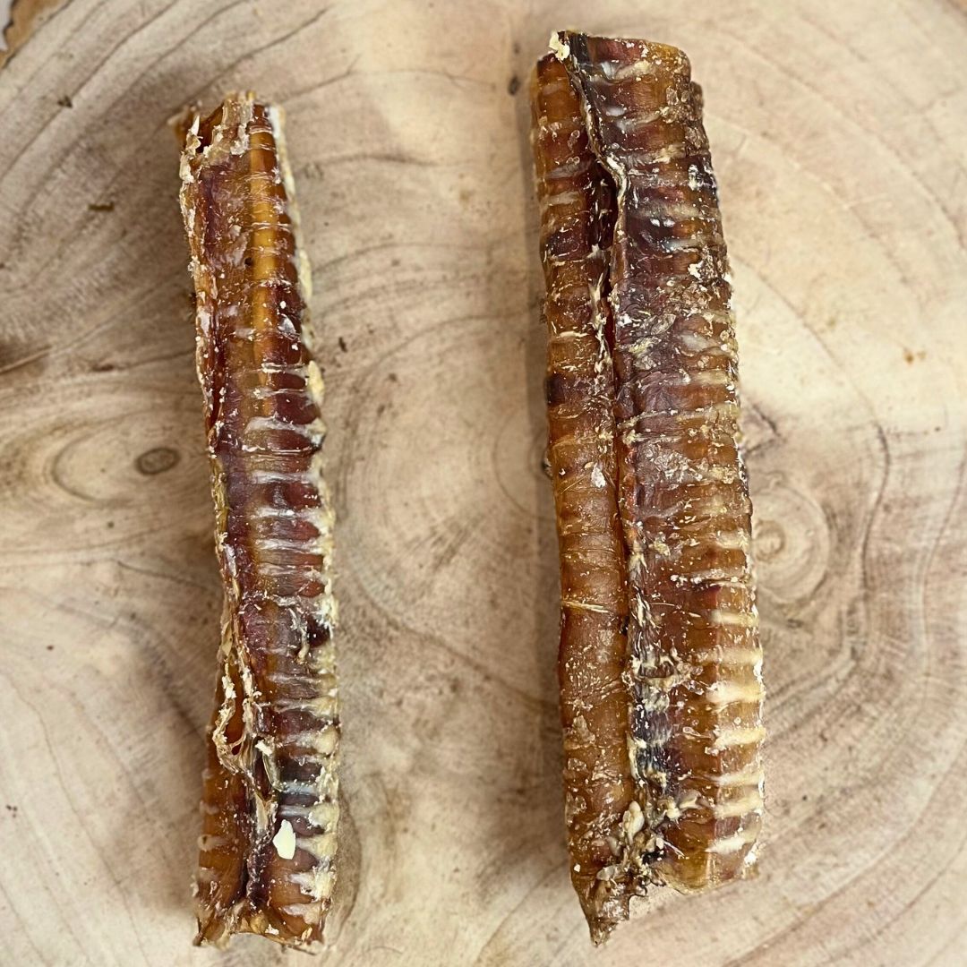All natural beed trachea on a wooden background