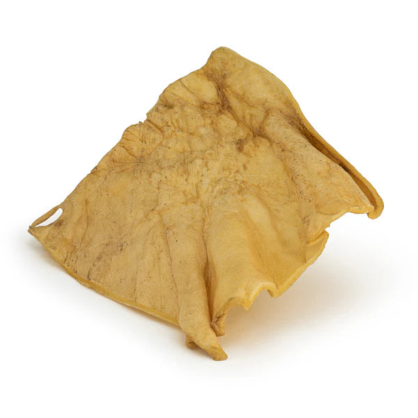 All natural dried buffalo skin plate on a white background
