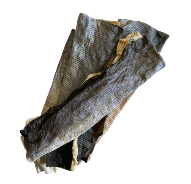 dried fish flat pieces on a plain white background