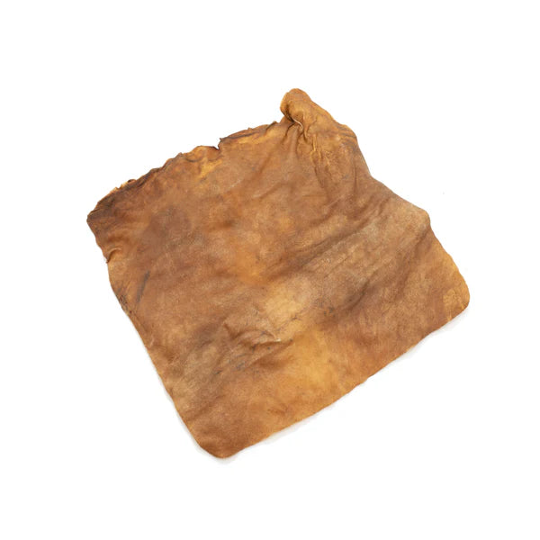 All natural dried lamb skin plate on a plain white background