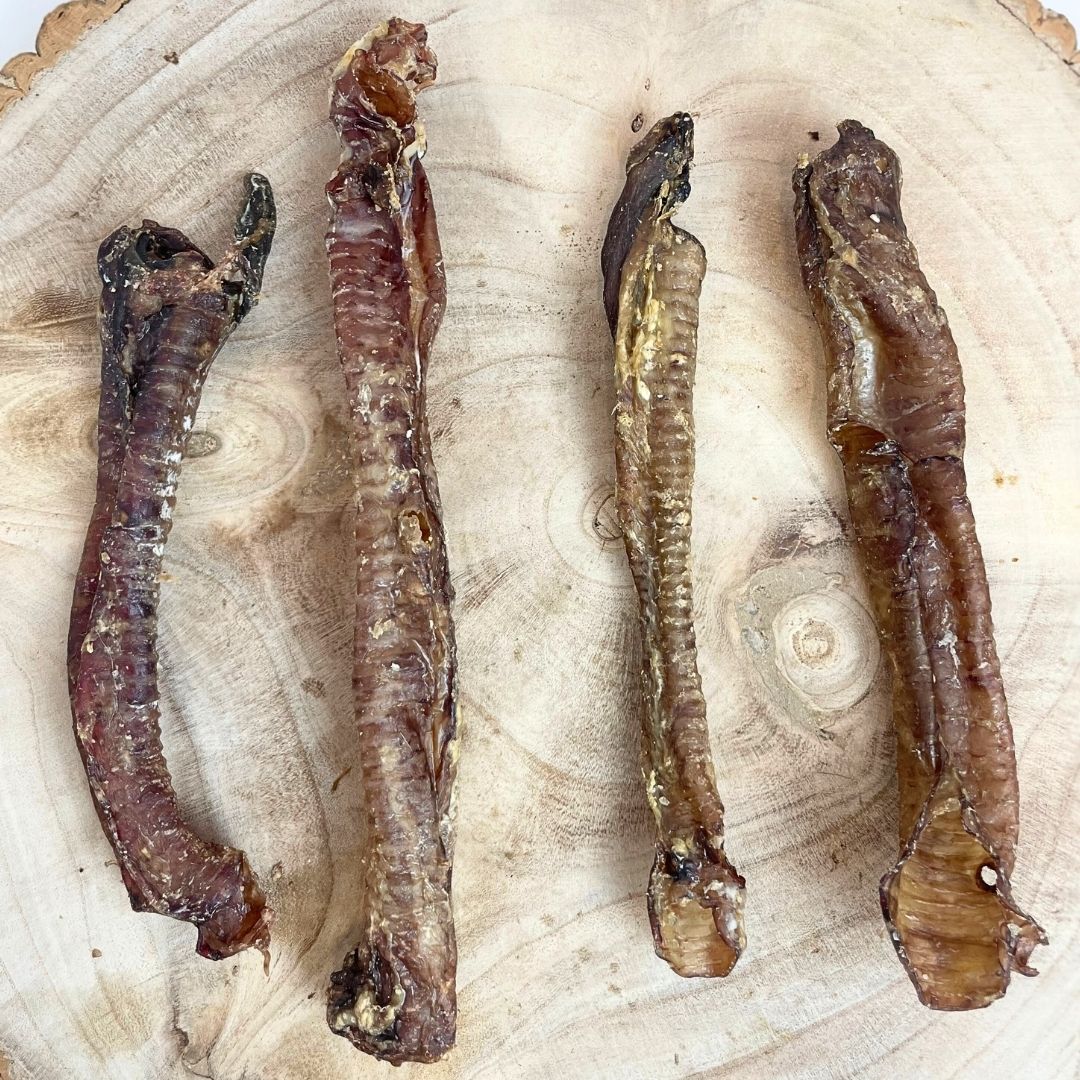 All natural dried lamb trachea on a wooden background