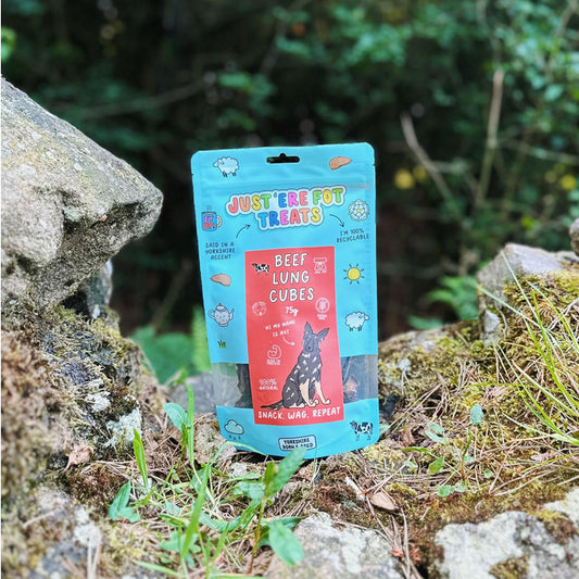 Front view of a packet/ pouch of 'Just'ere for treats' natural beef lung cubes on a stone wall wioth moss and grass with a woodland background