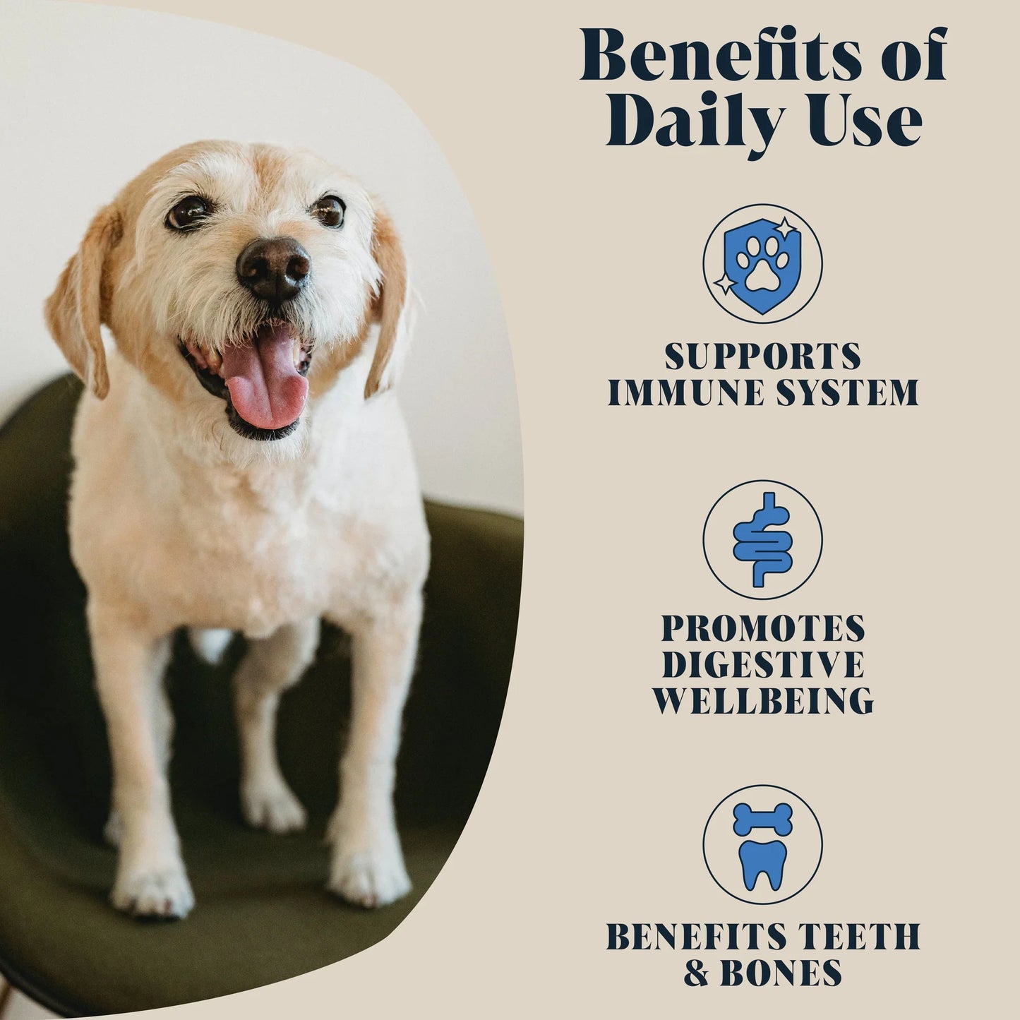 Dog on the right-hand side standing, with the left-hand side showing key benefits of the whole goat milk powder—from supporting the immune system and promoting digestive wellbeing to benefiting teeth and bone health.