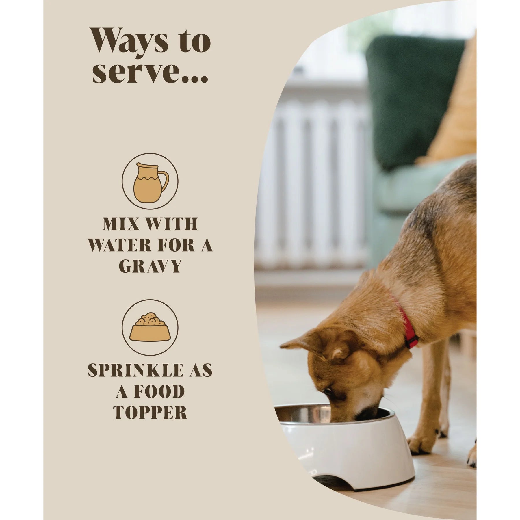 A dog on the right hand side ating out of a bowl with the left hand side staing the ways to serve. Mix with water for a gravy or sprinkle as a food topper
