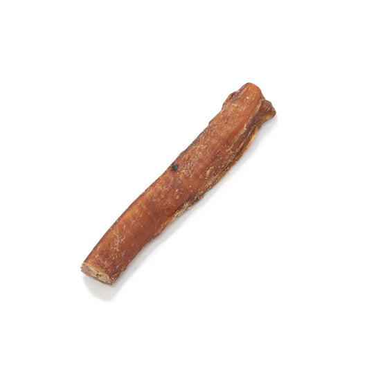 Natural dog treat beef pizzle air dried on a plain white background 