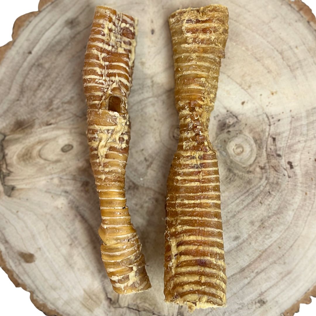 All natural dried buffalo trachea 30cm on a wooden background
