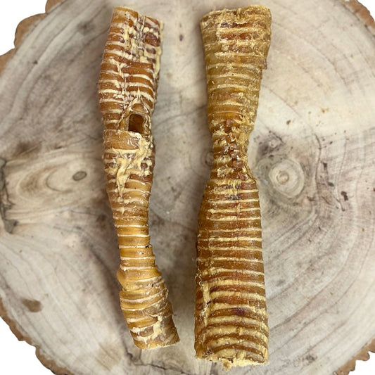 All natural dried buffalo trachea 30cm on a wooden background