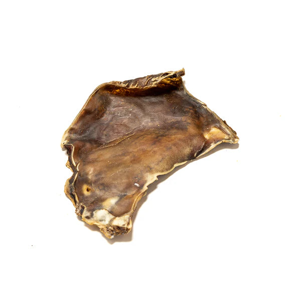 All natural dreid Camel skin plates on a plain white backgroud