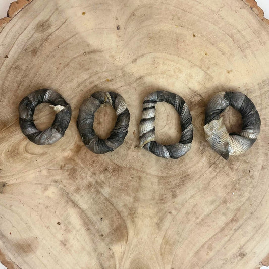 Four dreid fish skin donuts on a wooden background