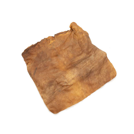 All natural dried lamb skin plate on a plain white background