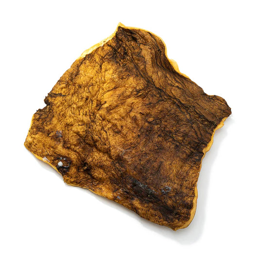 All natural dried venison skin plate on a white background