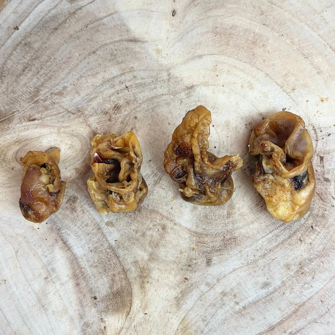 All natural dried porky-bites on a wooden background